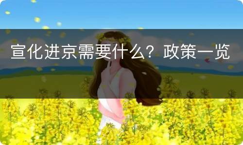 宣化进京需要什么？政策一览