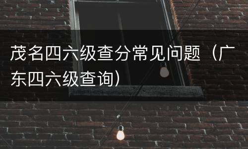 茂名四六级查分常见问题（广东四六级查询）