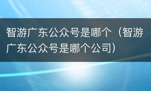 智游广东公众号是哪个（智游广东公众号是哪个公司）