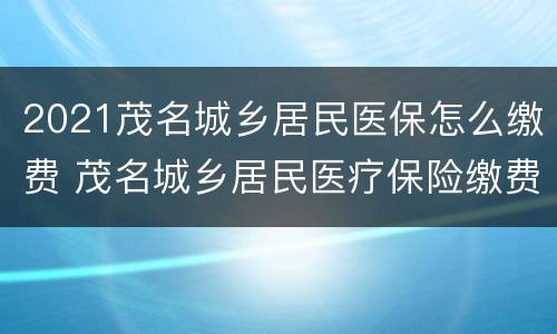 2021茂名城乡居民医保怎么缴费 茂名城乡居民医疗保险缴费