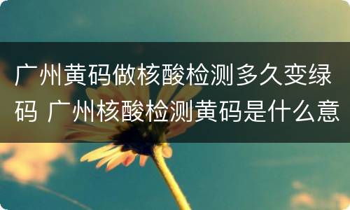 广州黄码做核酸检测多久变绿码 广州核酸检测黄码是什么意思