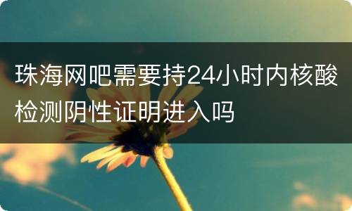 珠海网吧需要持24小时内核酸检测阴性证明进入吗