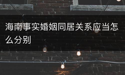 海南事实婚姻同居关系应当怎么分别