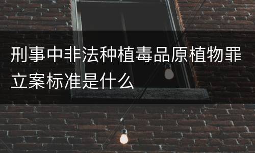 刑事中非法种植毒品原植物罪立案标准是什么