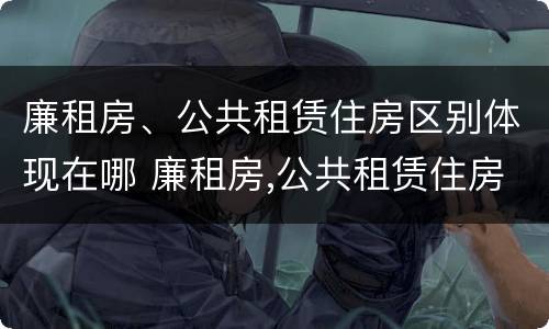 廉租房、公共租赁住房区别体现在哪 廉租房,公共租赁住房区别体现在哪些方面