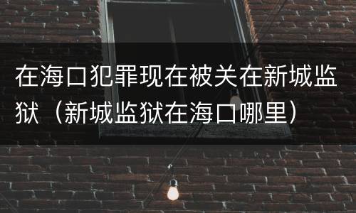 在海口犯罪现在被关在新城监狱（新城监狱在海口哪里）