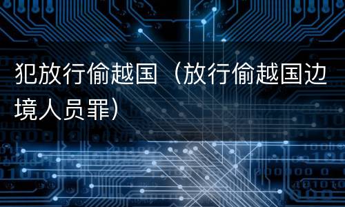 犯放行偷越国（放行偷越国边境人员罪）