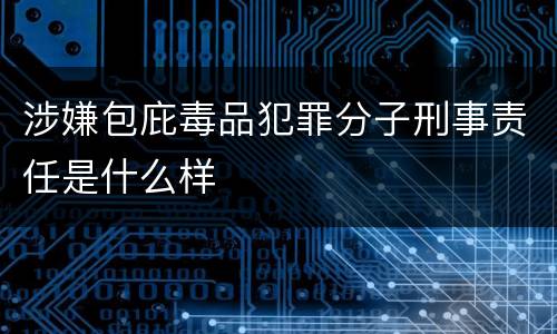 涉嫌包庇毒品犯罪分子刑事责任是什么样