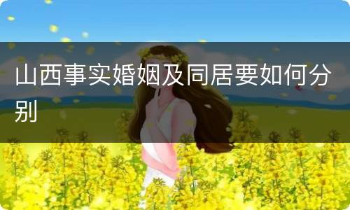 山西事实婚姻及同居要如何分别