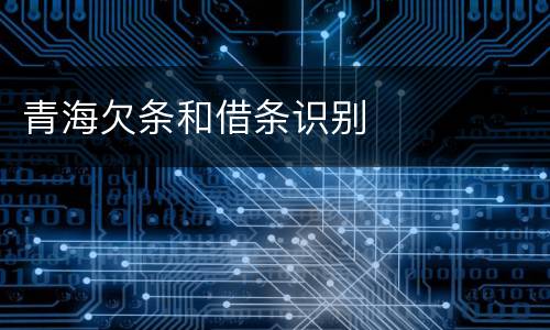 青海欠条和借条识别