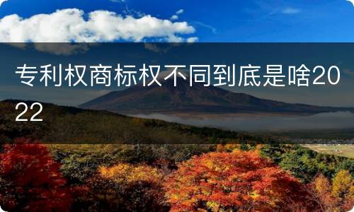 专利权商标权不同到底是啥2022
