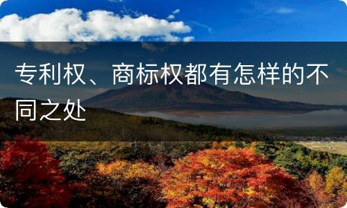 专利权、商标权都有怎样的不同之处