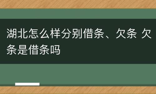 湖北怎么样分别借条、欠条 欠条是借条吗
