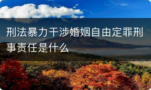 刑法暴力干涉婚姻自由定罪刑事责任是什么