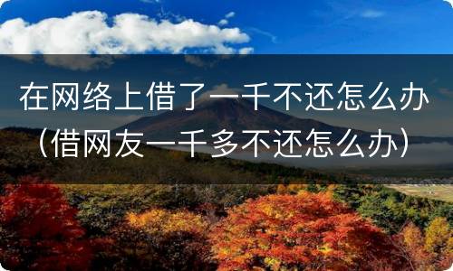 在网络上借了一千不还怎么办（借网友一千多不还怎么办）