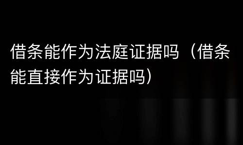 借条能作为法庭证据吗（借条能直接作为证据吗）