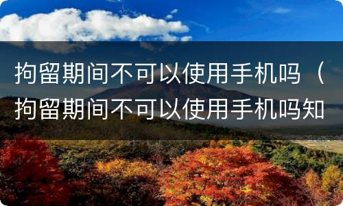 拘留期间不可以使用手机吗（拘留期间不可以使用手机吗知乎）