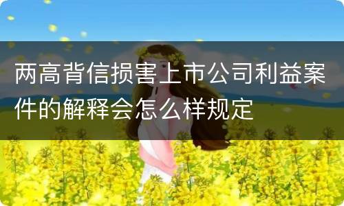 两高背信损害上市公司利益案件的解释会怎么样规定