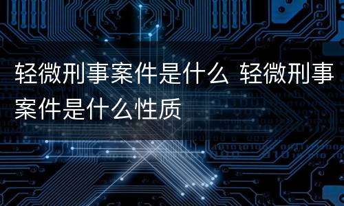 轻微刑事案件是什么 轻微刑事案件是什么性质