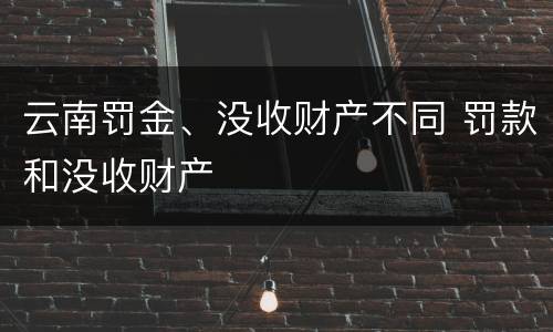 云南罚金、没收财产不同 罚款和没收财产