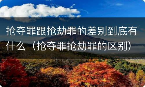抢夺罪跟抢劫罪的差别到底有什么（抢夺罪抢劫罪的区别）