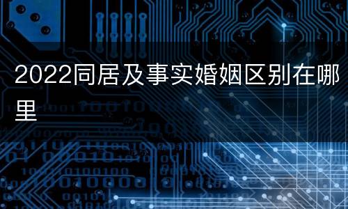 2022同居及事实婚姻区别在哪里