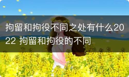 拘留和拘役不同之处有什么2022 拘留和拘役的不同