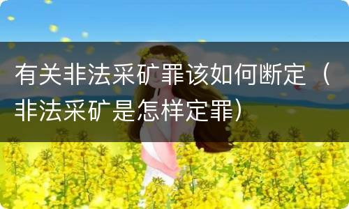 有关非法采矿罪该如何断定（非法采矿是怎样定罪）