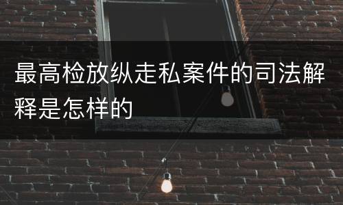 最高检放纵走私案件的司法解释是怎样的