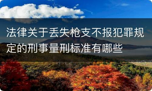 法律关于丢失枪支不报犯罪规定的刑事量刑标准有哪些