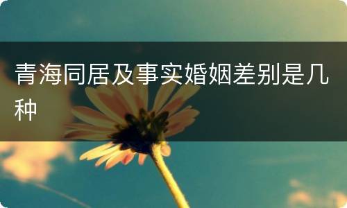 青海同居及事实婚姻差别是几种