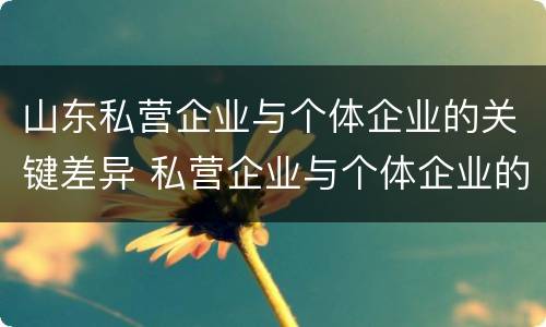 山东私营企业与个体企业的关键差异 私营企业与个体企业的区别