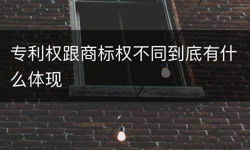 专利权跟商标权不同到底有什么体现