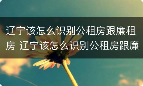 辽宁该怎么识别公租房跟廉租房 辽宁该怎么识别公租房跟廉租房呢