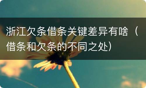 浙江欠条借条关键差异有啥（借条和欠条的不同之处）