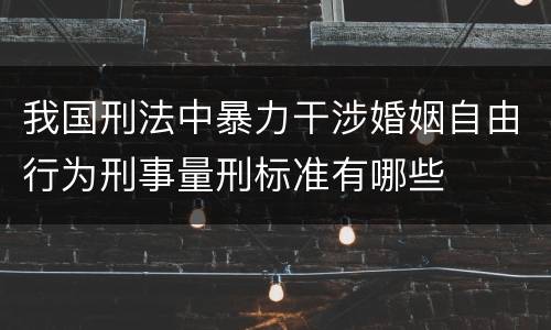 我国刑法中暴力干涉婚姻自由行为刑事量刑标准有哪些