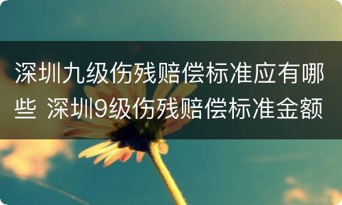 深圳九级伤残赔偿标准应有哪些 深圳9级伤残赔偿标准金额