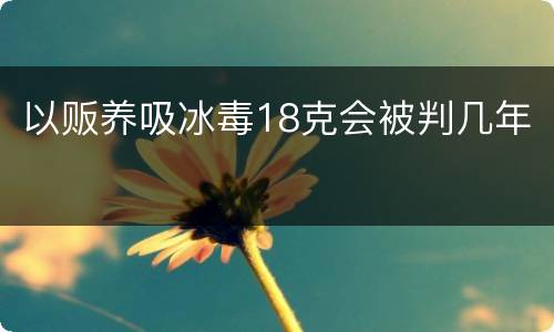 以贩养吸冰毒18克会被判几年