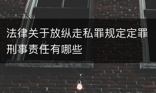法律关于放纵走私罪规定定罪刑事责任有哪些