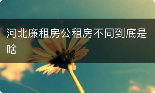 河北廉租房公租房不同到底是啥