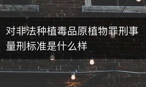 对非法种植毒品原植物罪刑事量刑标准是什么样