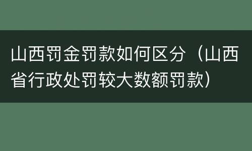 山西罚金罚款如何区分（山西省行政处罚较大数额罚款）