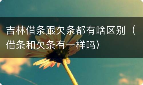 吉林借条跟欠条都有啥区别（借条和欠条有一样吗）