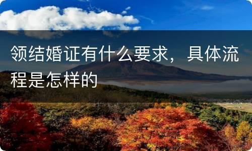 领结婚证有什么要求，具体流程是怎样的