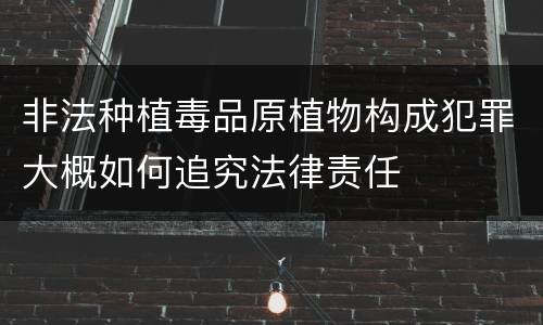 非法种植毒品原植物构成犯罪大概如何追究法律责任
