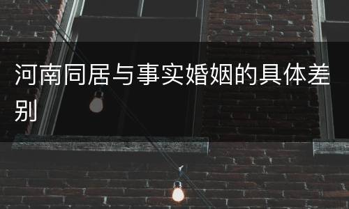 河南同居与事实婚姻的具体差别