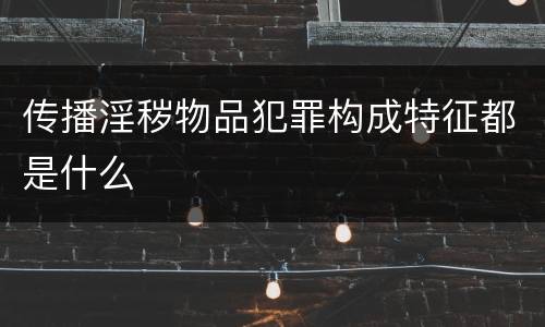 传播淫秽物品犯罪构成特征都是什么