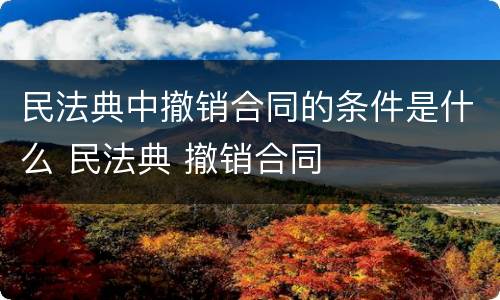 民法典中撤销合同的条件是什么 民法典 撤销合同