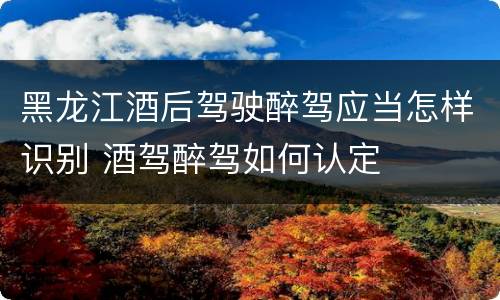 黑龙江酒后驾驶醉驾应当怎样识别 酒驾醉驾如何认定