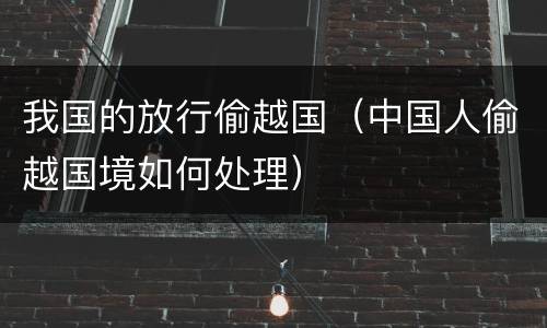 我国的放行偷越国（中国人偷越国境如何处理）